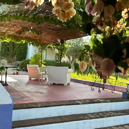 Courela Do Monte Novo Villa Santa Suzana Exterior photo